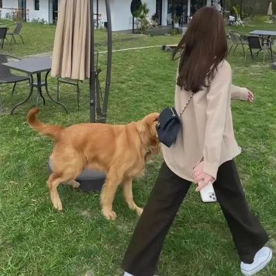 春娇救志明粤语